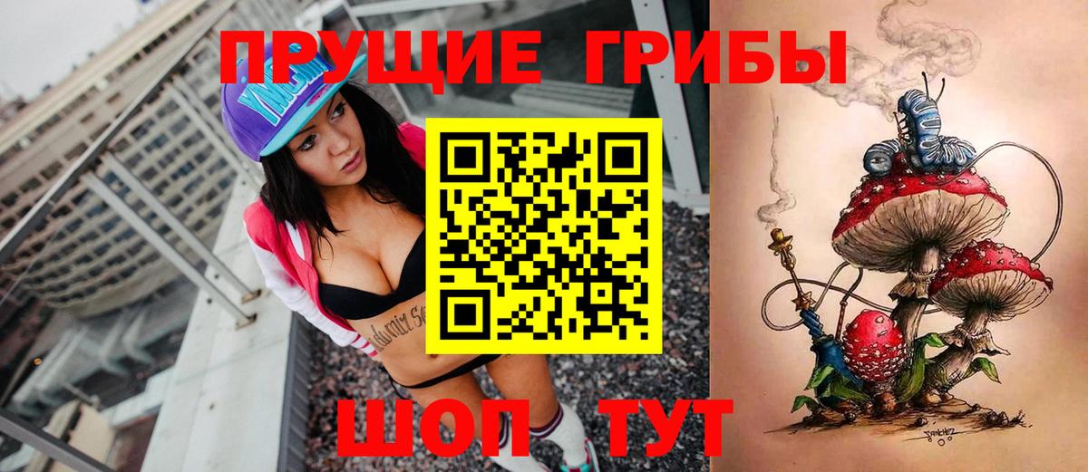 Псилоцибиновые грибы мицелий Новокубанск