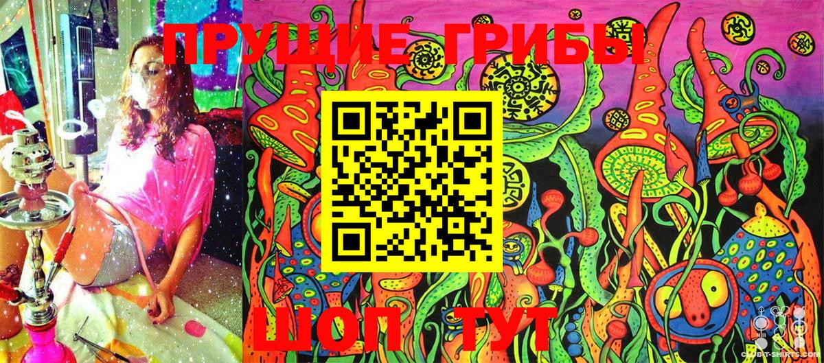 Новокубанск  Псилоцибиновые грибы мухоморы  как найти   Вход с VPN 